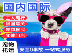 塔城千泉机场托运国际宠物托运 【国